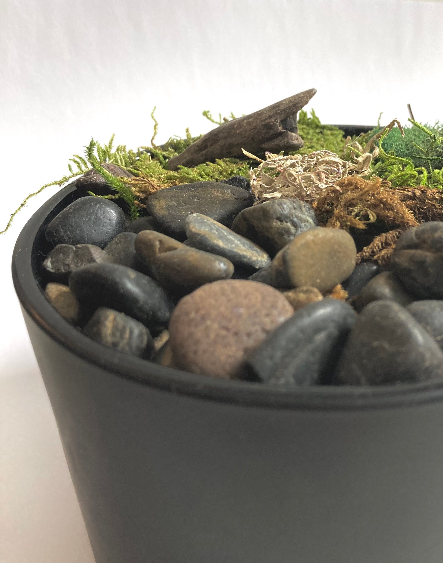 Moss Art Bowl - Handmade Biophilic Peace Garden