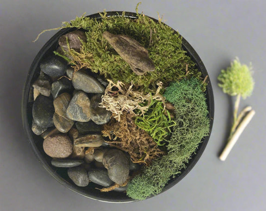 Moss Art Bowl - Handmade Biophilic Peace Garden