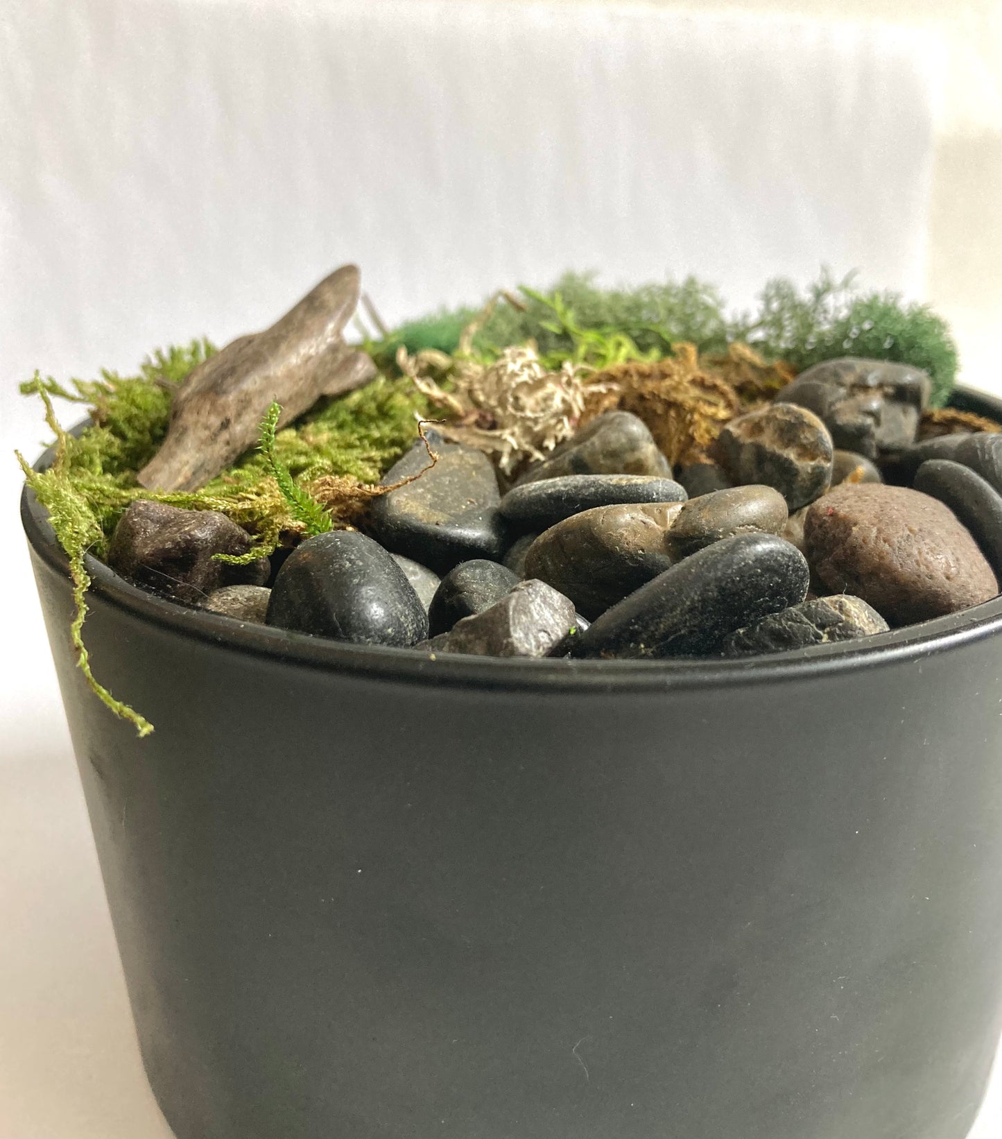 Moss Art Bowl - Handmade Biophilic Peace Garden